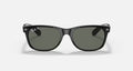 Ray Ban RB2132F