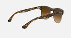 Ray Ban RB4175