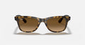 Ray Ban RB3460F