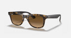 Ray Ban RB3460F