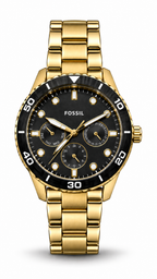 Fossil BQ2643SET Gold Black Dial Watch