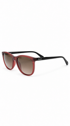 Polaroid PLD 4153/S 086UC Round Pantos Polarized Sunglasses