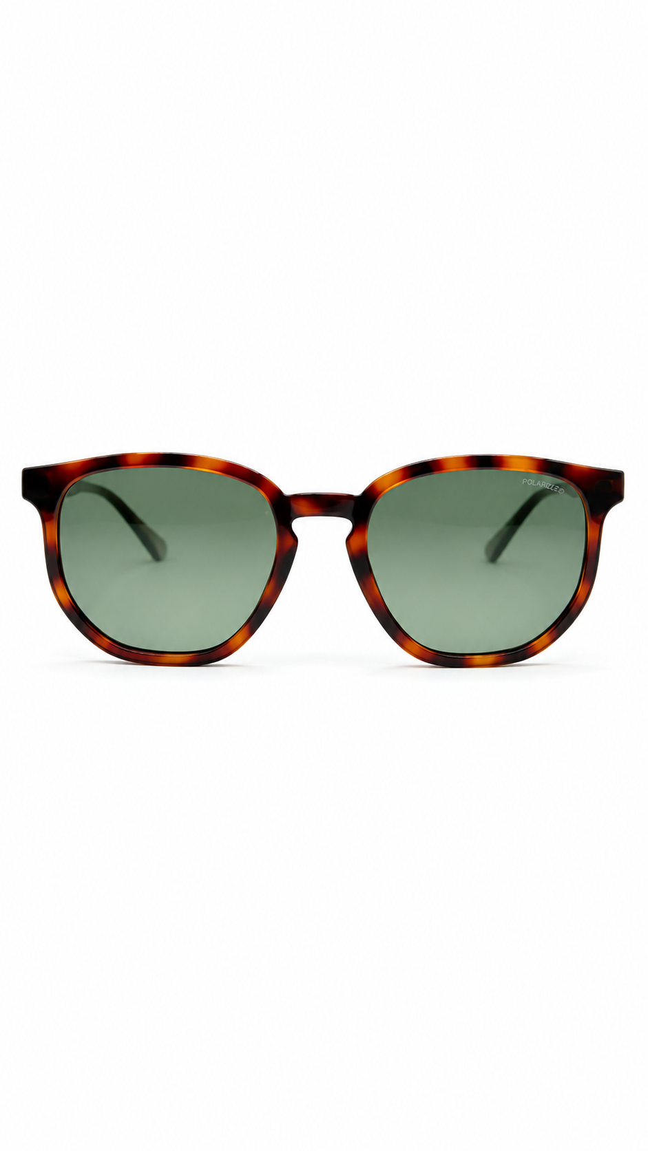 Polaroid PLD 2035/S Havana Square Polarized Sunglasses (53mm)