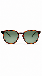 Polaroid PLD 2035/S Havana Square Polarized Sunglasses (53mm)
