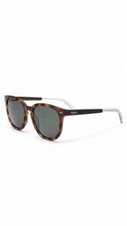Polaroid PLD 2035/S Havana Square Polarized Sunglasses (53mm)