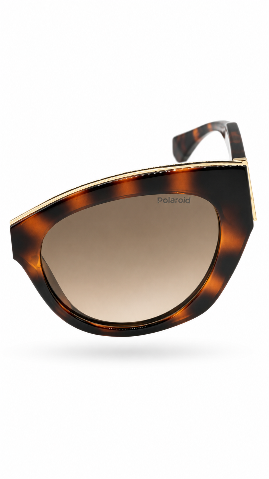 Polaroid PLD 6199/S/X Havana Cat-Eye Polarized Sunglasses (50mm)