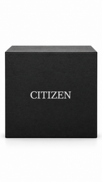 Citizen Tsuyosa Small Seconds Grey Dial Watch